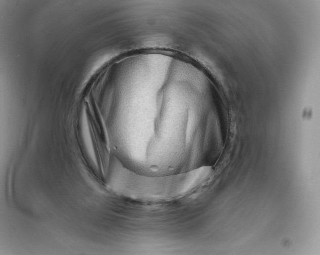 X0000096190060200802011416