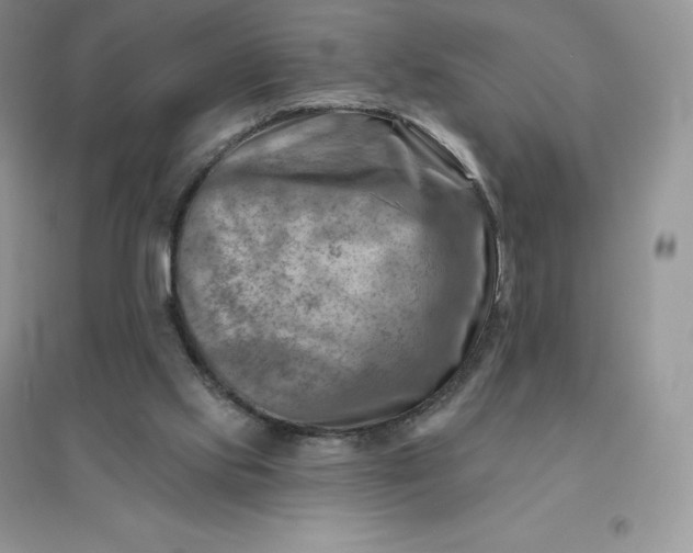 X0000096190061200802011416