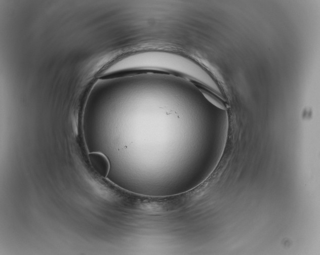 X0000096190062200802011416