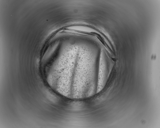 X0000096190063200802011416