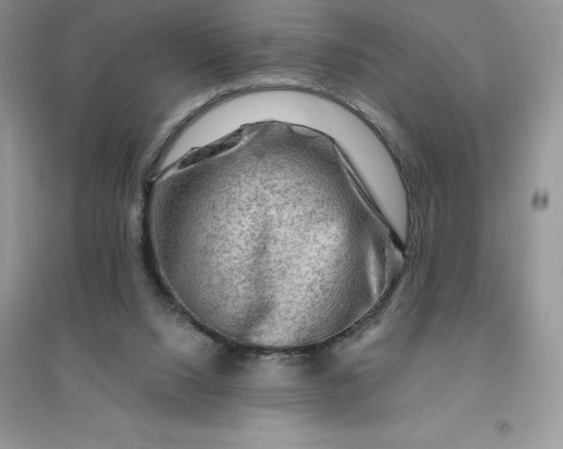 X0000096190064200802011416