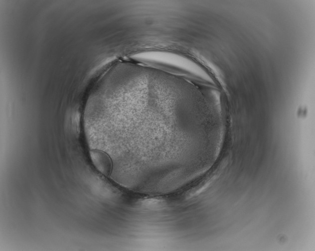 X0000096190067200802011416