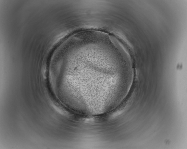 X0000096190068200802011416