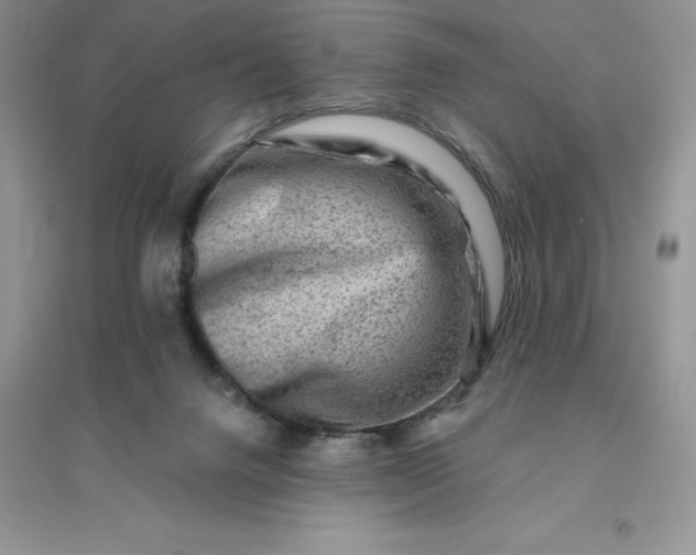 X0000096190072200802011416