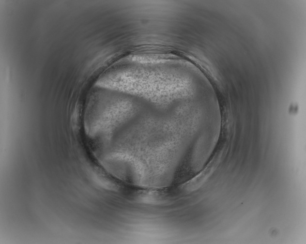 X0000096190074200802011416