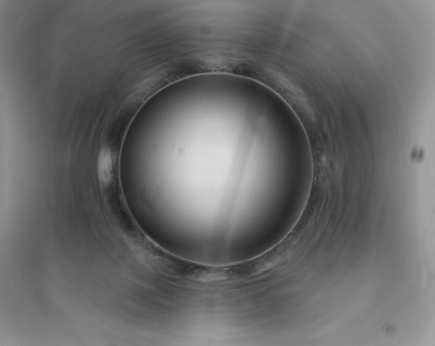 X0000096190075200802011416