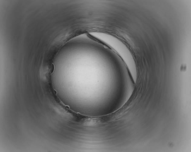 X0000096190077200802011416