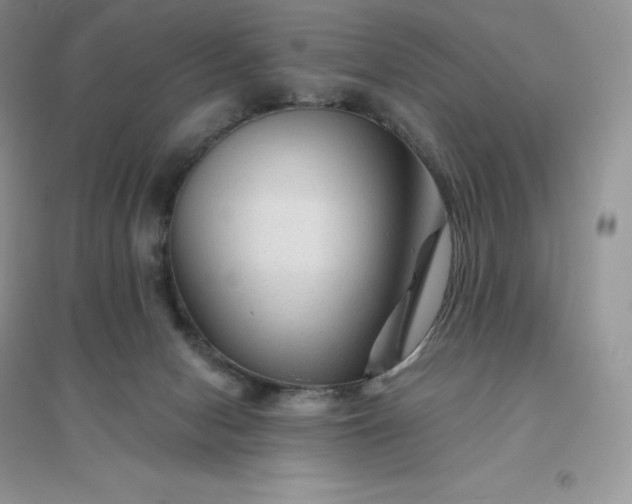 X0000096190078200802011416