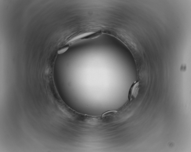 X0000096190079200802011416