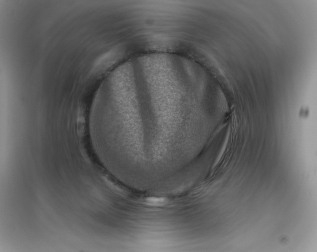 X0000096190080200802011416