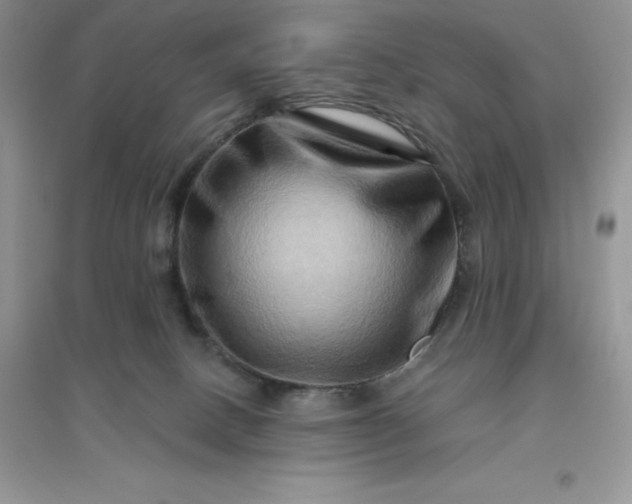 X0000096190082200802011416