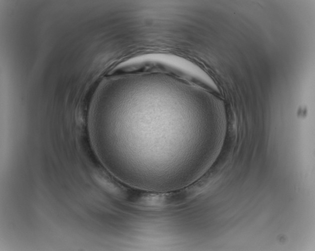 X0000096190084200802011416