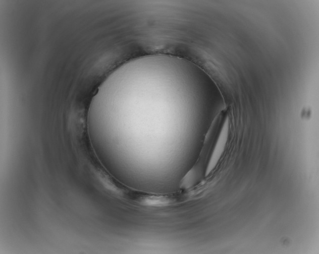 X0000096190085200802011416