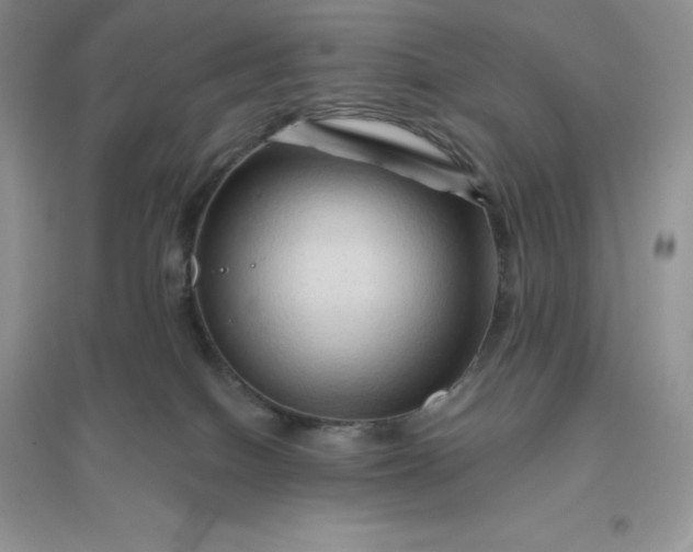 X0000096190086200802011416