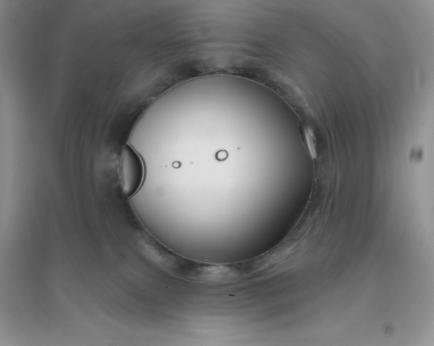 X0000096190087200802011416