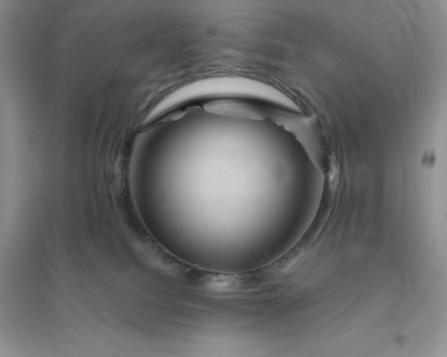 X0000096190088200802011416