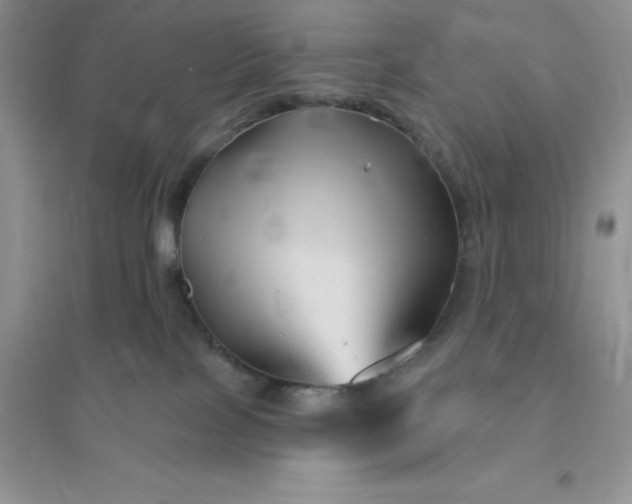 X0000096190089200802011416