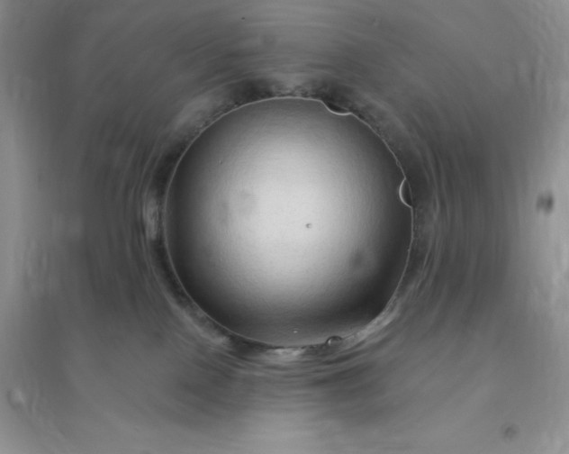 X0000096190090200802011416