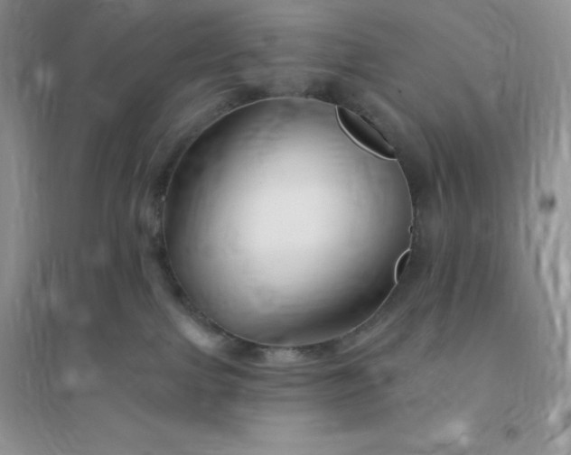 X0000096190091200802011416