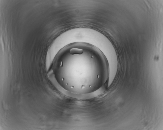 X0000096190092200802011416