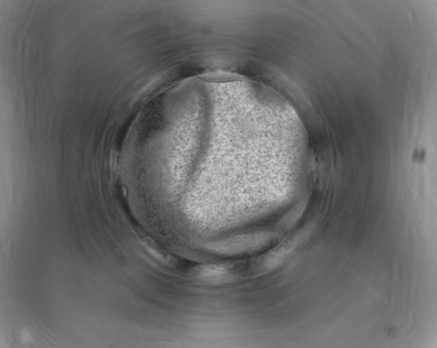 X0000096190093200802011416