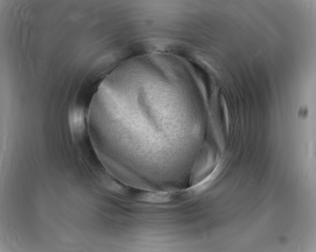 X0000096190094200802011416