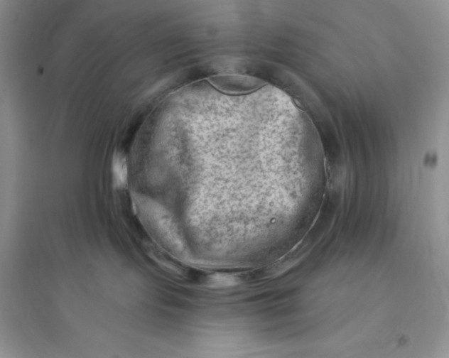 X0000096190095200802011416