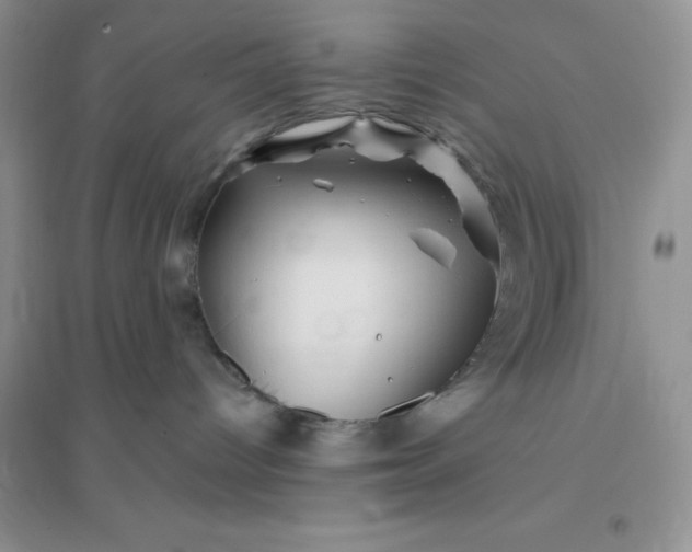 X0000096190096200802011416