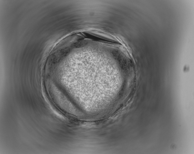 X0000096190097200802011416