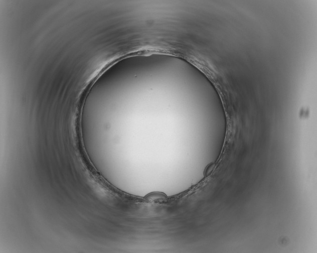 X0000096190098200802011416