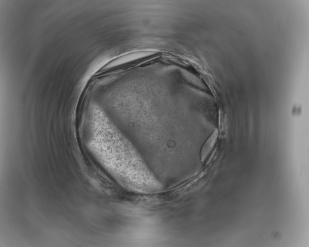 X0000096190099200802011416