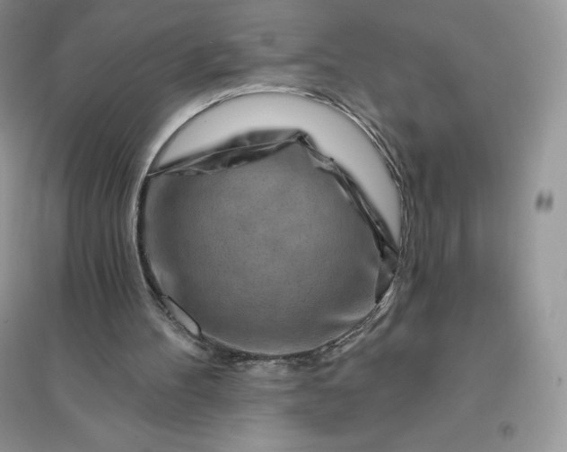 X0000096190100200802011416