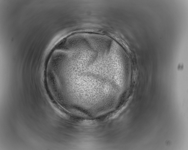 X0000096190101200802011416