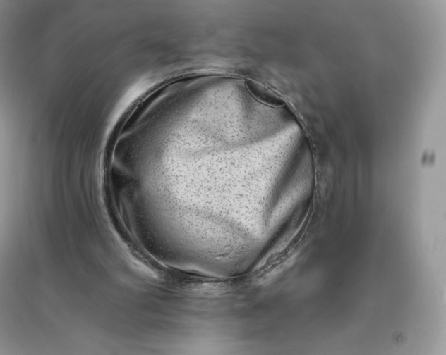 X0000096190102200802011416