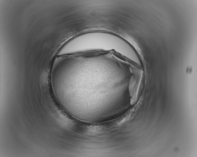 X0000096190105200802011416