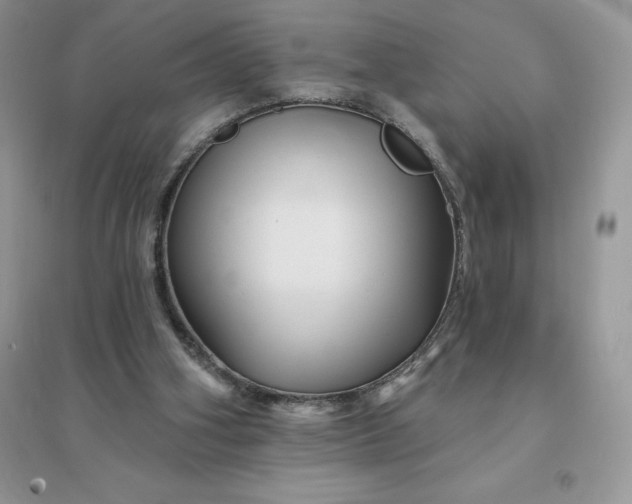 X0000096190106200802011416