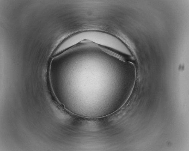 X0000096190107200802011416