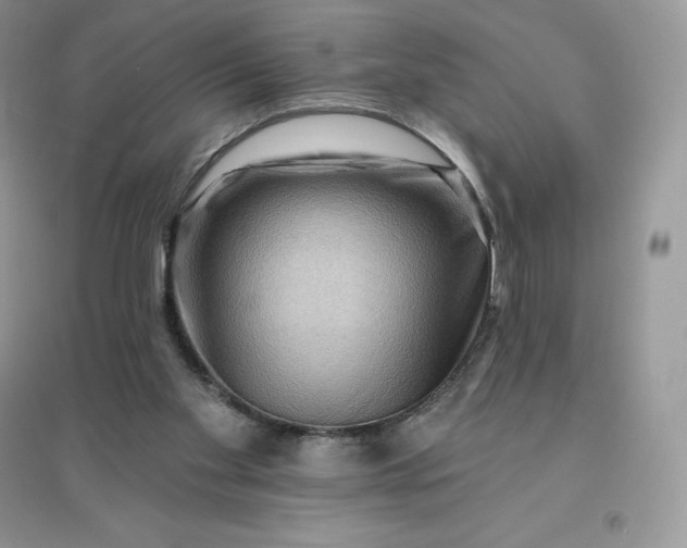 X0000096190109200802011416