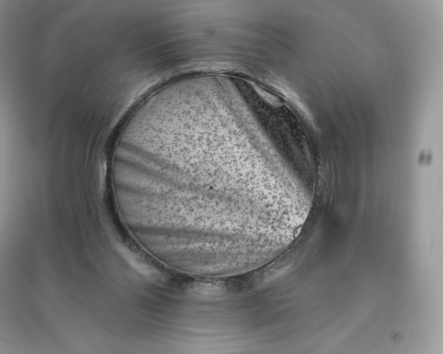 X0000096190110200802011416