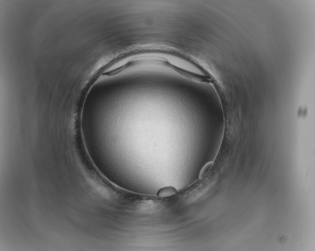 X0000096190111200802011416