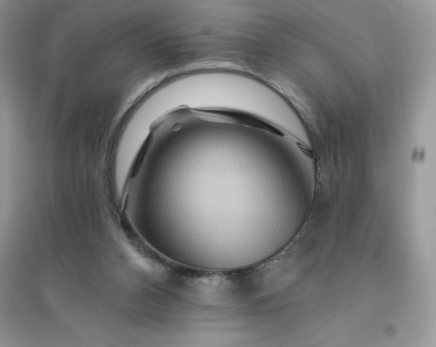 X0000096190112200802011416