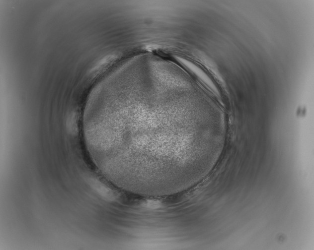 X0000096190114200802011416