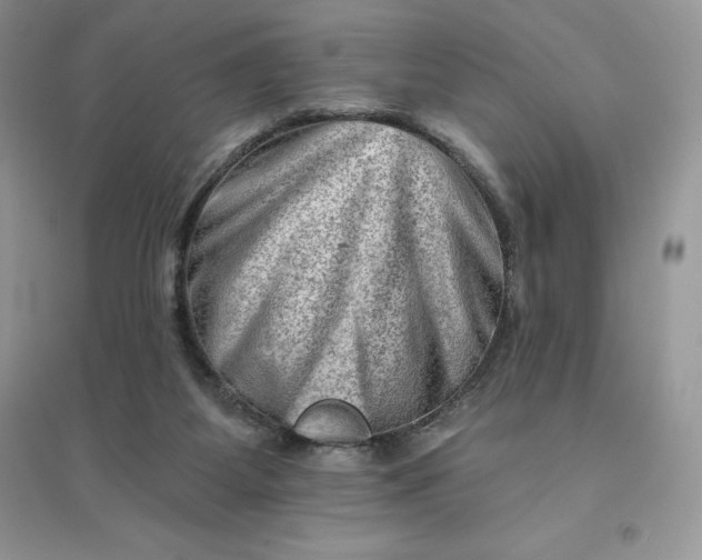 X0000096190115200802011416