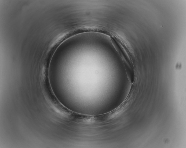 X0000096190116200802011416