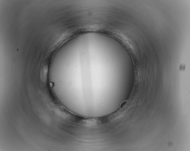 X0000096190118200802011415