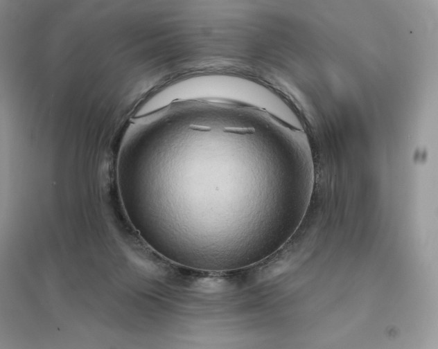 X0000096190119200802011415