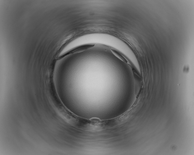 X0000096190120200802011415