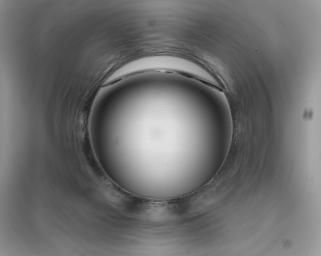 X0000096190121200802011415