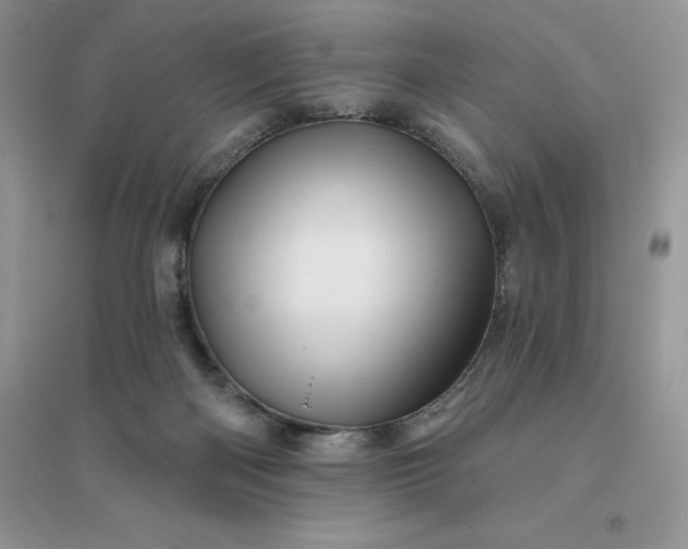 X0000096190122200802011415