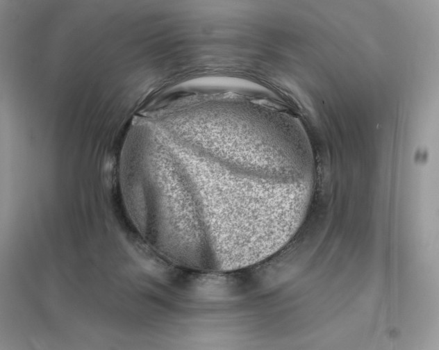 X0000096190123200802011415